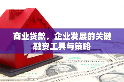 虎林商业贷款，企业发展的关键融资工具与策略