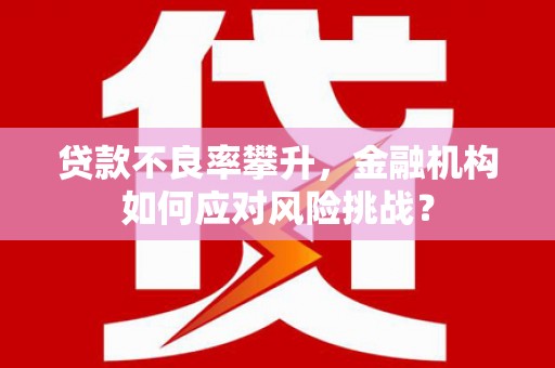 虎林贷款不良率攀升，金融机构如何应对风险挑战？