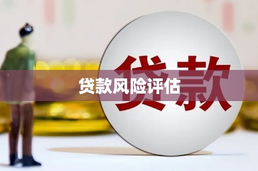 虎林贷款风险评估
