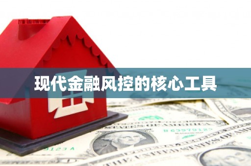 虎林现代金融风控的核心工具