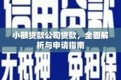 虎林小额贷款公司贷款，全面解析与申请指南