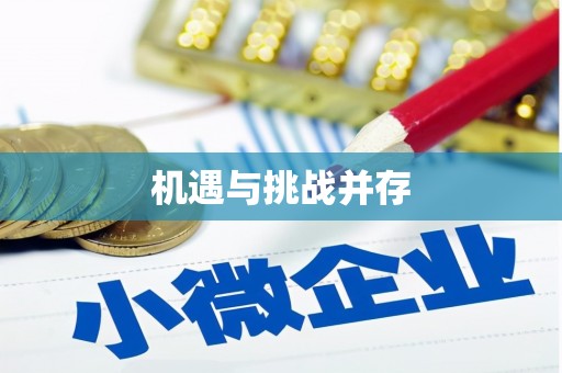 虎林机遇与挑战并存