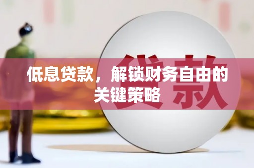虎林低息贷款，解锁财务自由的关键策略