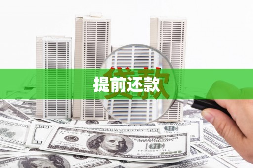 虎林提前还款