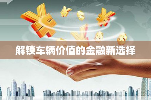 虎林解锁车辆价值的金融新选择