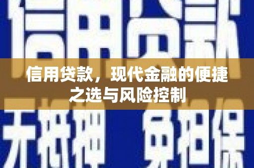 虎林信用贷款，现代金融的便捷之选与风险控制
