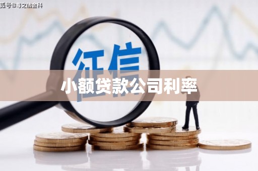 虎林小额贷款公司利率