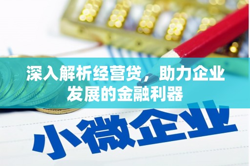 虎林深入解析经营贷，助力企业发展的金融利器