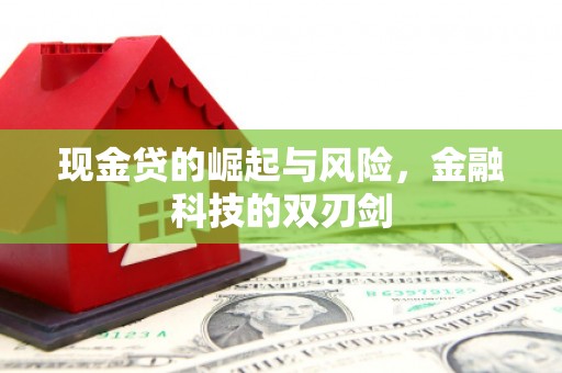 虎林现金贷的崛起与风险，金融科技的双刃剑