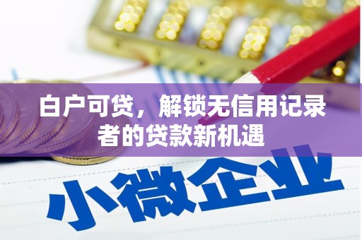 虎林白户可贷，解锁无信用记录者的贷款新机遇
