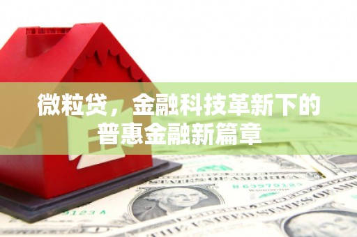 虎林微粒贷，金融科技革新下的普惠金融新篇章