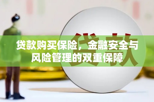 虎林贷款购买保险，金融安全与风险管理的双重保障