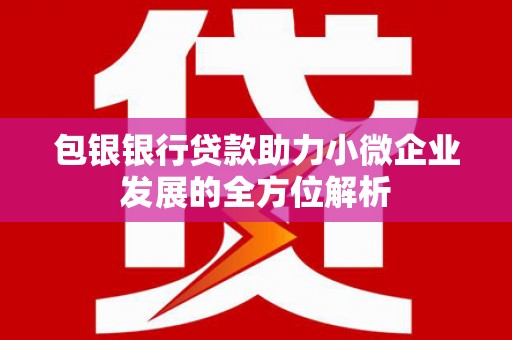 虎林包银银行贷款助力小微企业发展的全方位解析