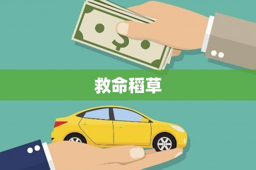 虎林救命稻草
