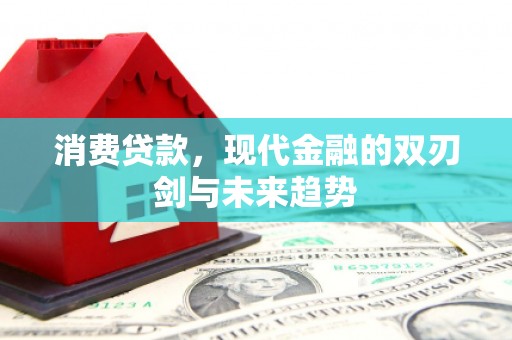 虎林消费贷款，现代金融的双刃剑与未来趋势