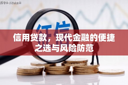 虎林信用贷款，现代金融的便捷之选与风险防范