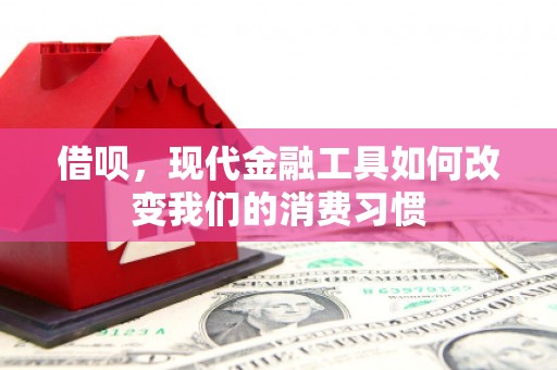 虎林借呗，现代金融工具如何改变我们的消费习惯