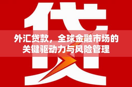 虎林外汇贷款，全球金融市场的关键驱动力与风险管理