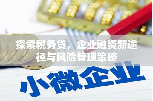 虎林探索税务贷，企业融资新途径与风险管理策略
