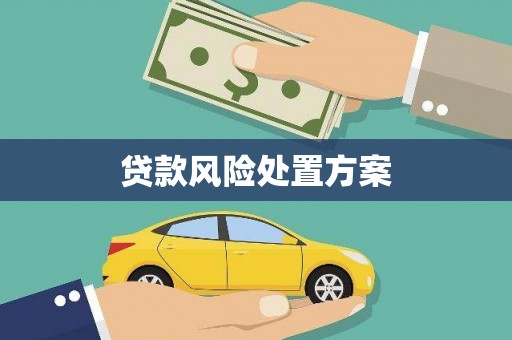 虎林贷款风险处置方案