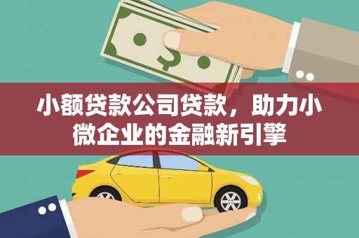 虎林小额贷款公司贷款，助力小微企业的金融新引擎