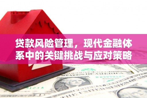 虎林贷款风险管理，现代金融体系中的关键挑战与应对策略