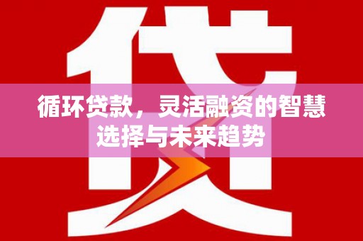 虎林循环贷款，灵活融资的智慧选择与未来趋势