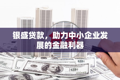 虎林银盛贷款，助力中小企业发展的金融利器
