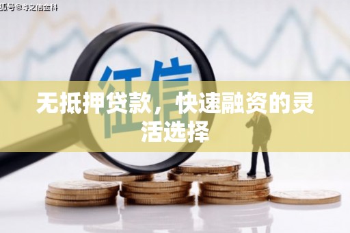 虎林无抵押贷款，快速融资的灵活选择