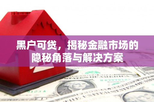 虎林黑户可贷，揭秘金融市场的隐秘角落与解决方案