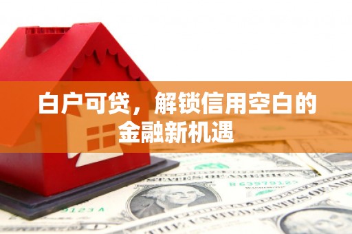 虎林白户可贷，解锁信用空白的金融新机遇