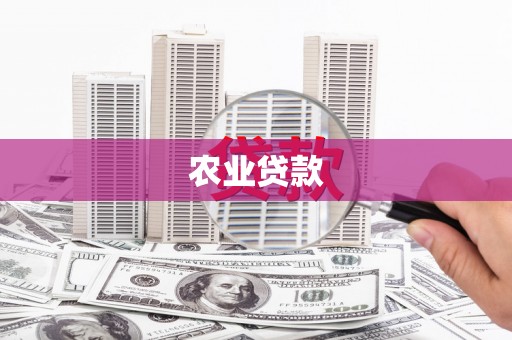 虎林农业贷款