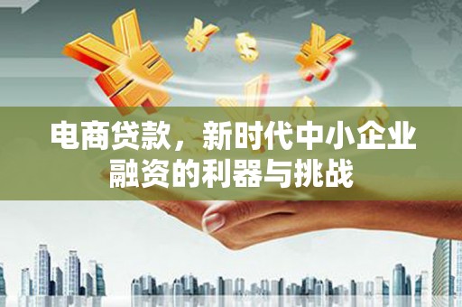 虎林电商贷款，新时代中小企业融资的利器与挑战