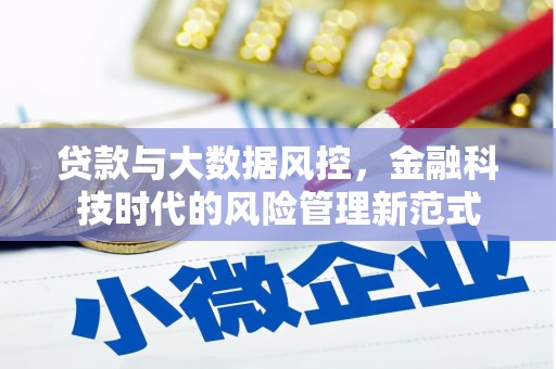 虎林贷款与大数据风控，金融科技时代的风险管理新范式