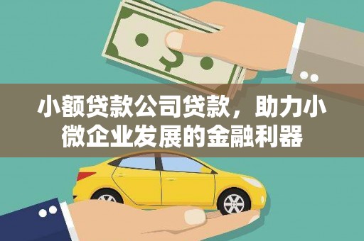 虎林小额贷款公司贷款，助力小微企业发展的金融利器