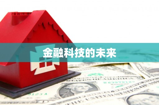 虎林金融科技的未来
