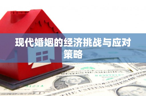 虎林现代婚姻的经济挑战与应对策略