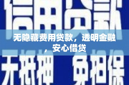 虎林无隐藏费用贷款，透明金融，安心借贷