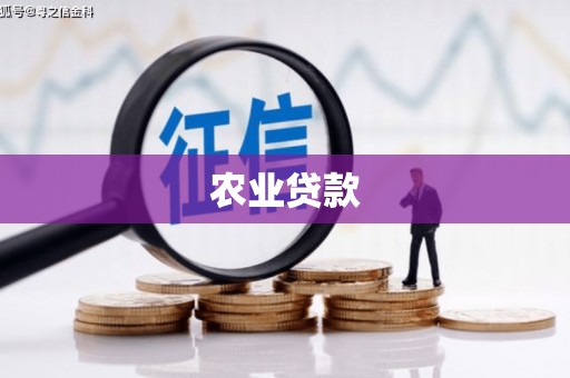 虎林农业贷款