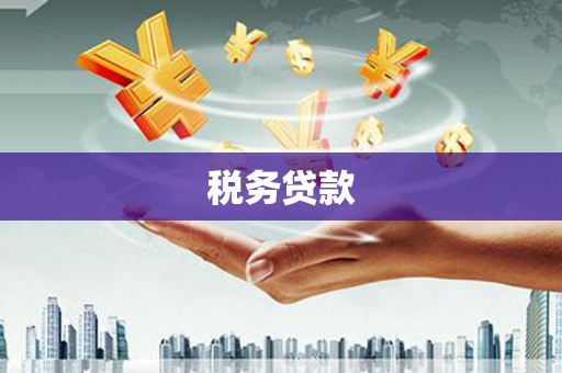 虎林税务贷款