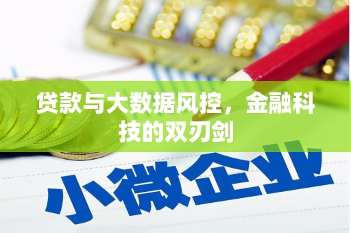 虎林贷款与大数据风控，金融科技的双刃剑