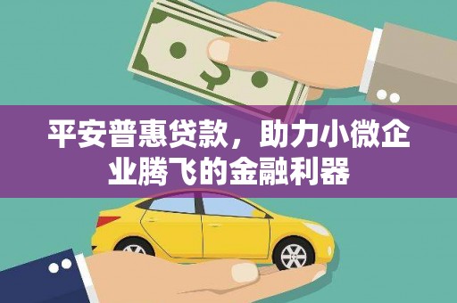 虎林平安普惠贷款，助力小微企业腾飞的金融利器