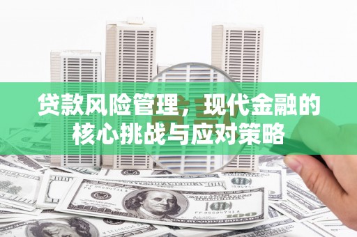虎林贷款风险管理，现代金融的核心挑战与应对策略