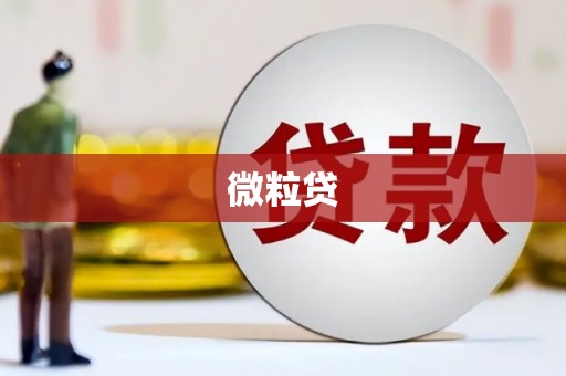 虎林微粒贷