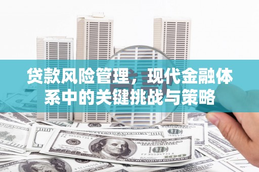 虎林贷款风险管理，现代金融体系中的关键挑战与策略