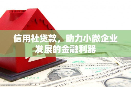 虎林信用社贷款，助力小微企业发展的金融利器