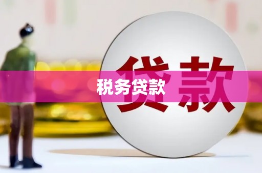 虎林税务贷款