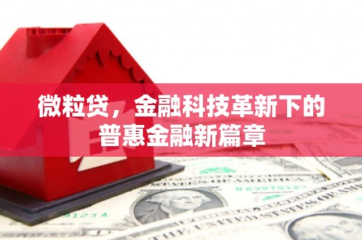 虎林微粒贷，金融科技革新下的普惠金融新篇章