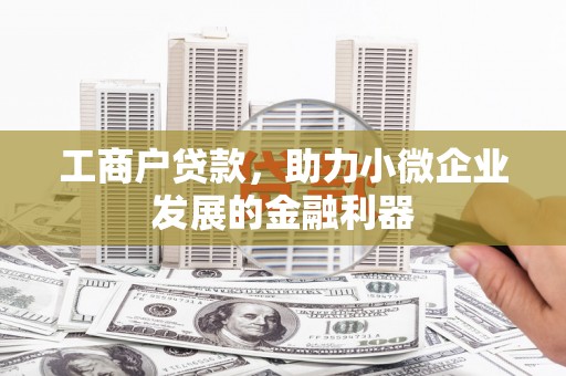 虎林工商户贷款，助力小微企业发展的金融利器
