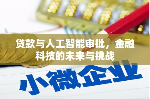 虎林贷款与人工智能审批，金融科技的未来与挑战